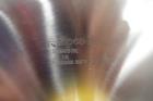 Lyco Rotary Drum Blancher